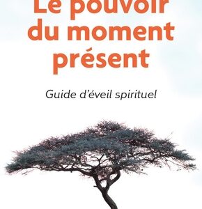 Livre de développement personnel : Le pouvoir du moment présent