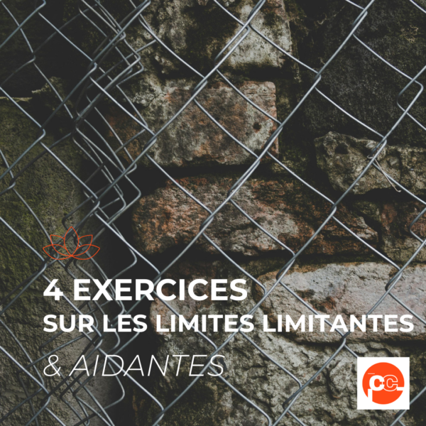 4 Exercices Pratiques sur les Limites limitantes et aidantes