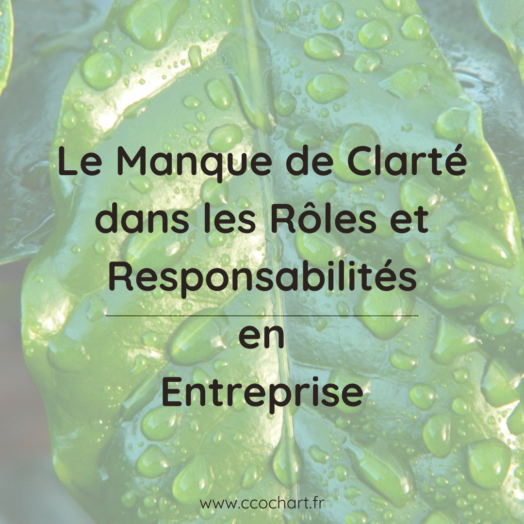 Le Manque de Clarté dans les Rôles et Responsabilités : Pourquoi et Comment y Remédier ?